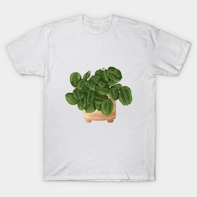 Lemon Lime Prayer Plant - Maranta 3 T-Shirt by gusstvaraonica